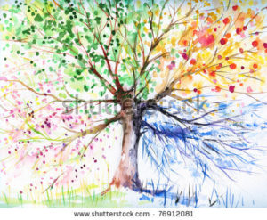 stock-photo-hand-painted-illustration-of-four-season-tree-picture-i-have-created-with-watercolors-76912081 (Subscription confirmation)