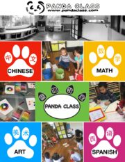 Programs - Panda Class - Panda Class